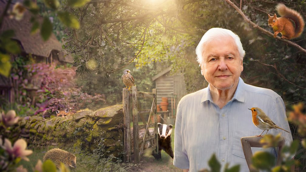 Sir David Attenborough